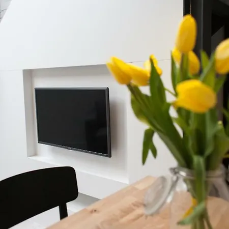 Modern Apartment46 / Kazimierz Апартаменты