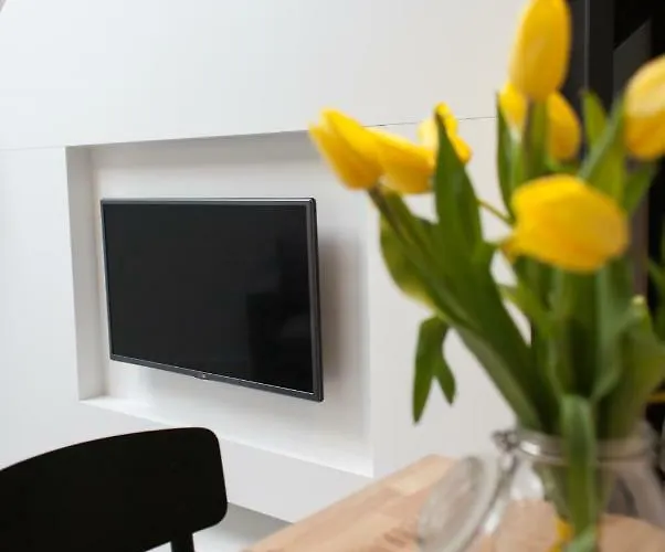 Modern Apartment46 / Kazimierz شقة